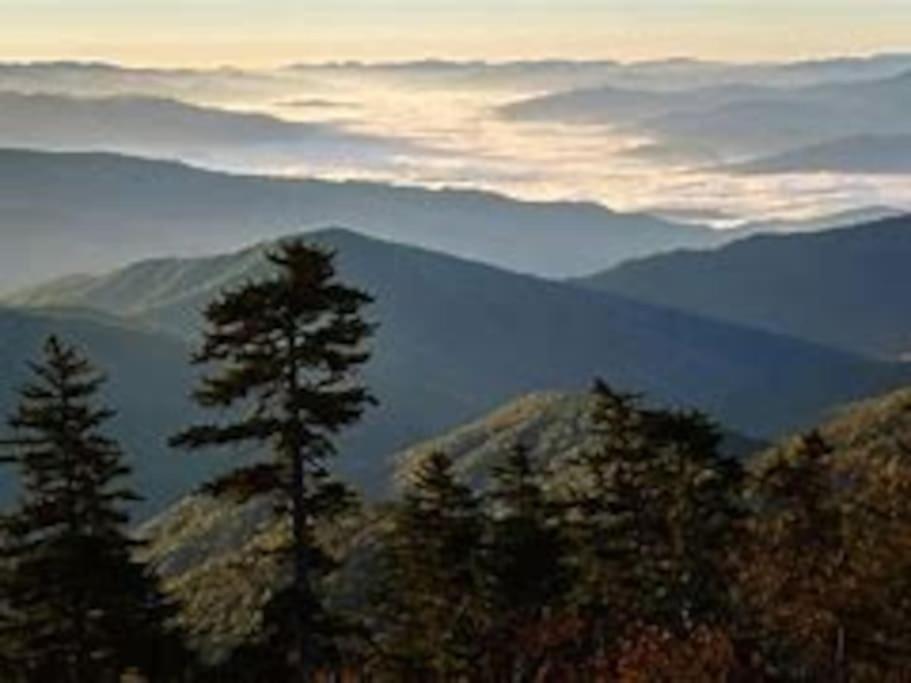 1 Mi To Dollywood Mins To All Attractions & Gsmnp Sevierville Bagian luar foto
