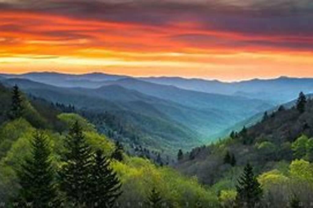 1 Mi To Dollywood Mins To All Attractions & Gsmnp Sevierville Bagian luar foto